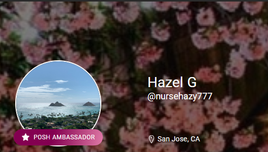Friend Feature: Shop Hazel’s Closet on Poshmark!