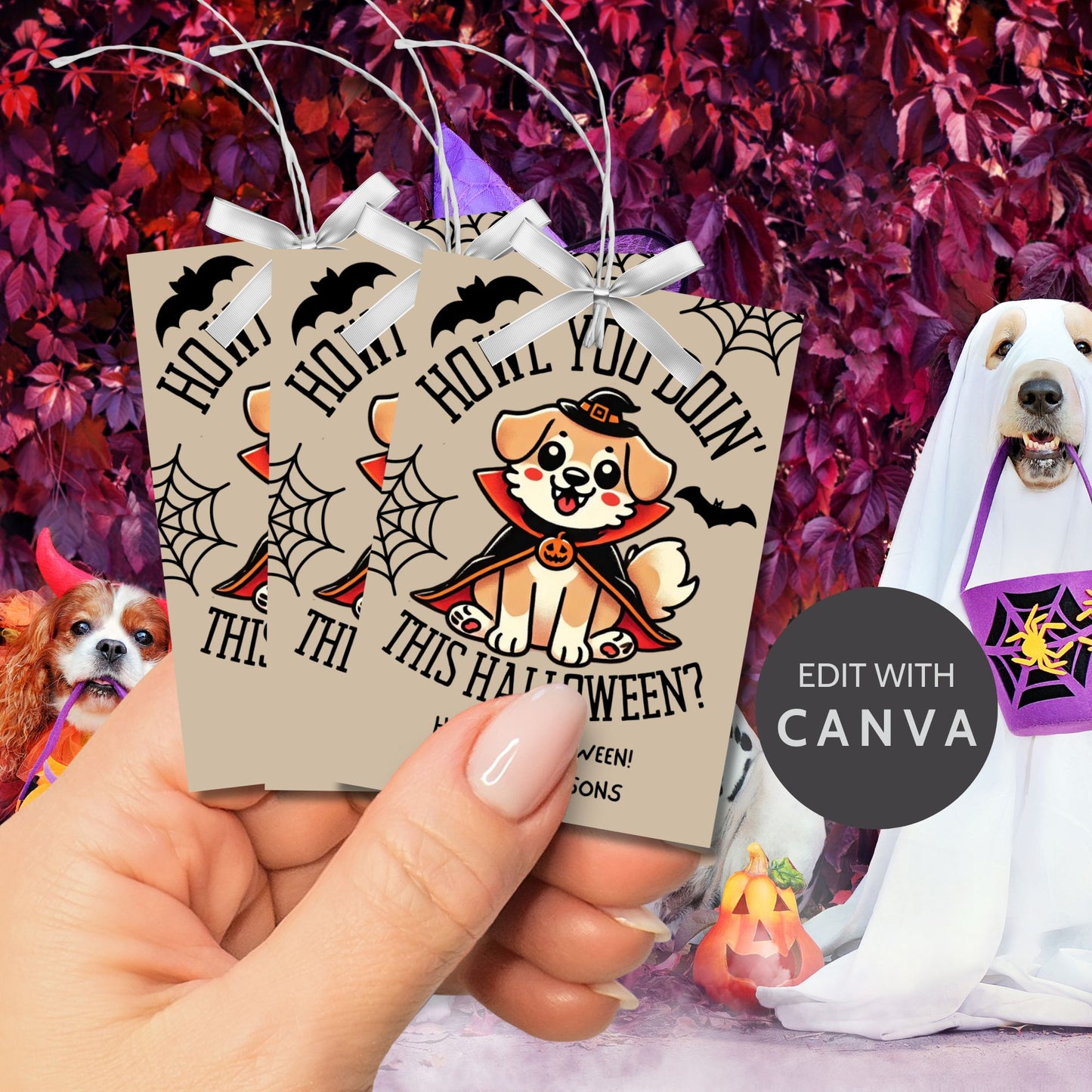 Halloween-themed printable gift tags featuring a cute dog in a costume with the message "Howl You Doin' This Halloween?" Tags are 2.5 x 3.5 inches, laid out 8 per sheet on an 8.5 x 11-inch page. Includes a printable PDF and a PDF with a link to an editable Canva template.