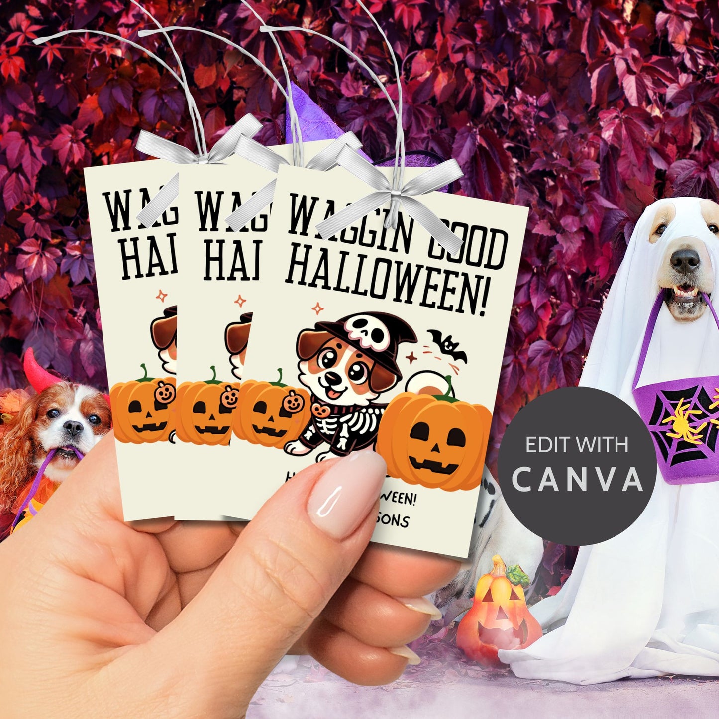 Dog-themed printable Halloween gift tags featuring an adorable dog dressed in a skeleton costume with pumpkins and the message "Waggin' Good Halloween!" Tags are 2.5 x 3.5 inches, laid out 8 per sheet on an 8.5 x 11-inch page. Includes a printable PDF and a PDF with a link to an editable Canva template.