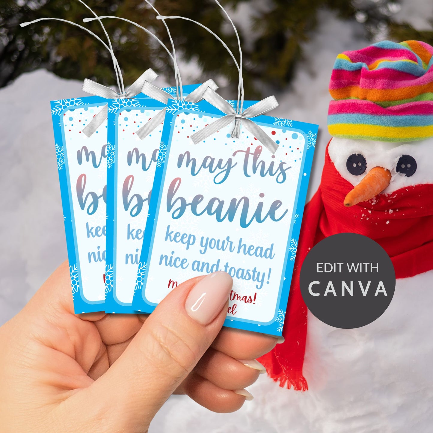 Holiday gift tags with a snowflake design for beanies or winter accessories, featuring the message "May This Beanie Keep Your Head Nice and Toasty." Includes printable PDF and editable Canva template.