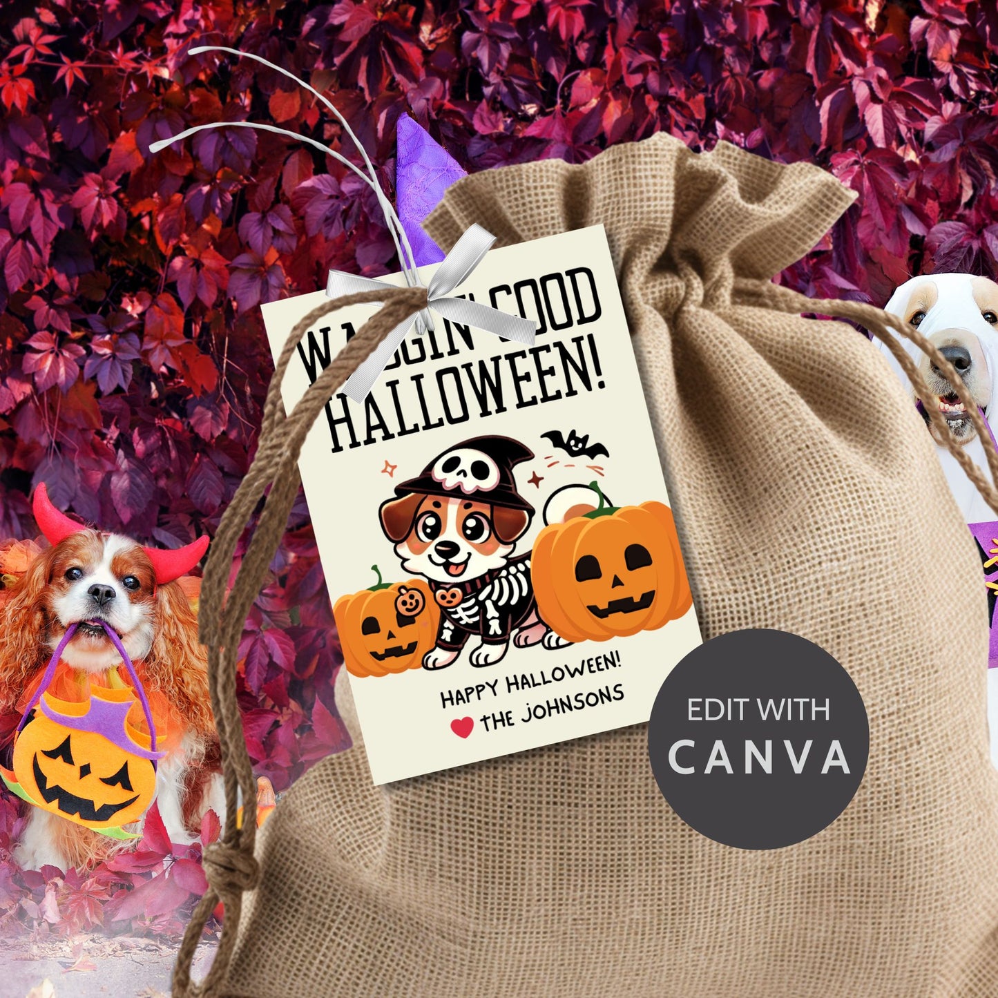 Dog-themed printable Halloween gift tags featuring an adorable dog dressed in a skeleton costume with pumpkins and the message "Waggin' Good Halloween!" Tags are 2.5 x 3.5 inches, laid out 8 per sheet on an 8.5 x 11-inch page. Includes a printable PDF and a PDF with a link to an editable Canva template.