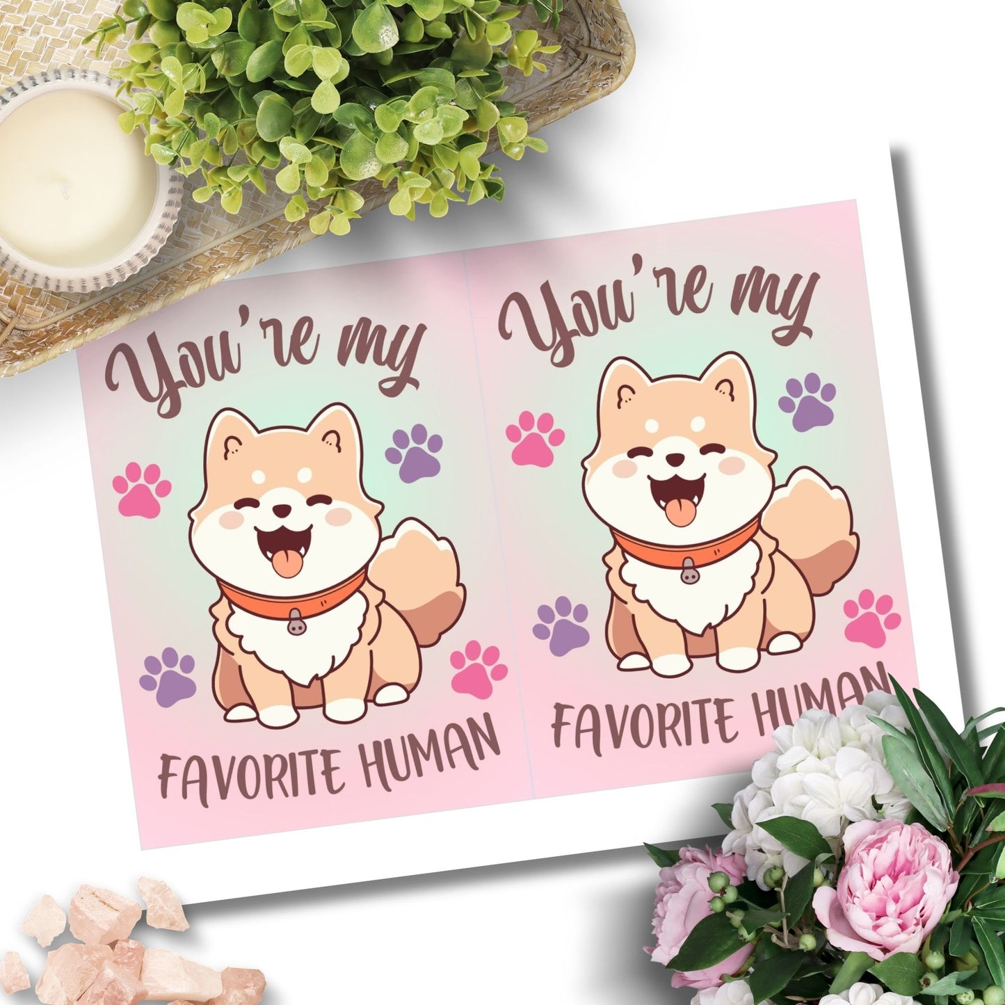 Printable Valentineās Day Greeting Card with the message āYou're My Favorite Human.ā Designed as a 5x7 PDF on an 8.5 x 11 sheet with two cards per page. A simple and heartfelt Valentineās card for a loved one.