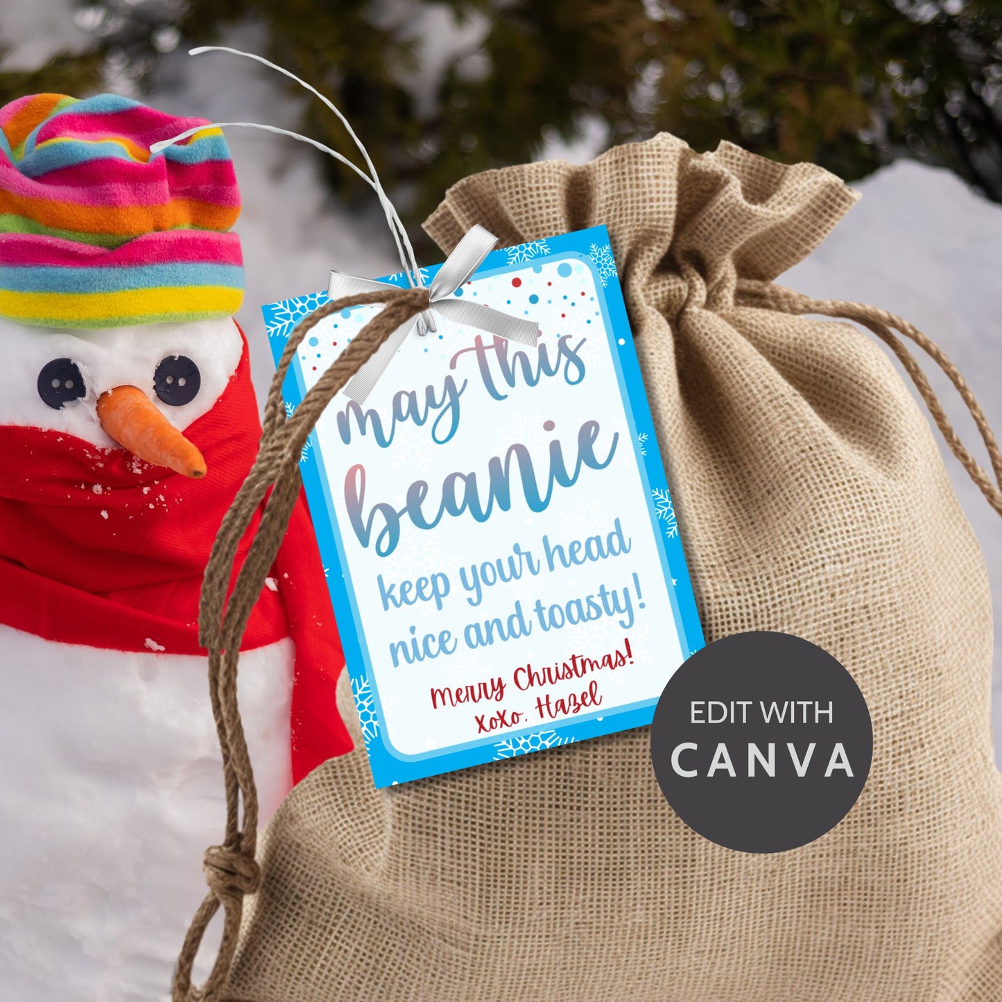 Holiday gift tags with a snowflake design for beanies or winter accessories, featuring the message "May This Beanie Keep Your Head Nice and Toasty." Includes printable PDF and editable Canva template.