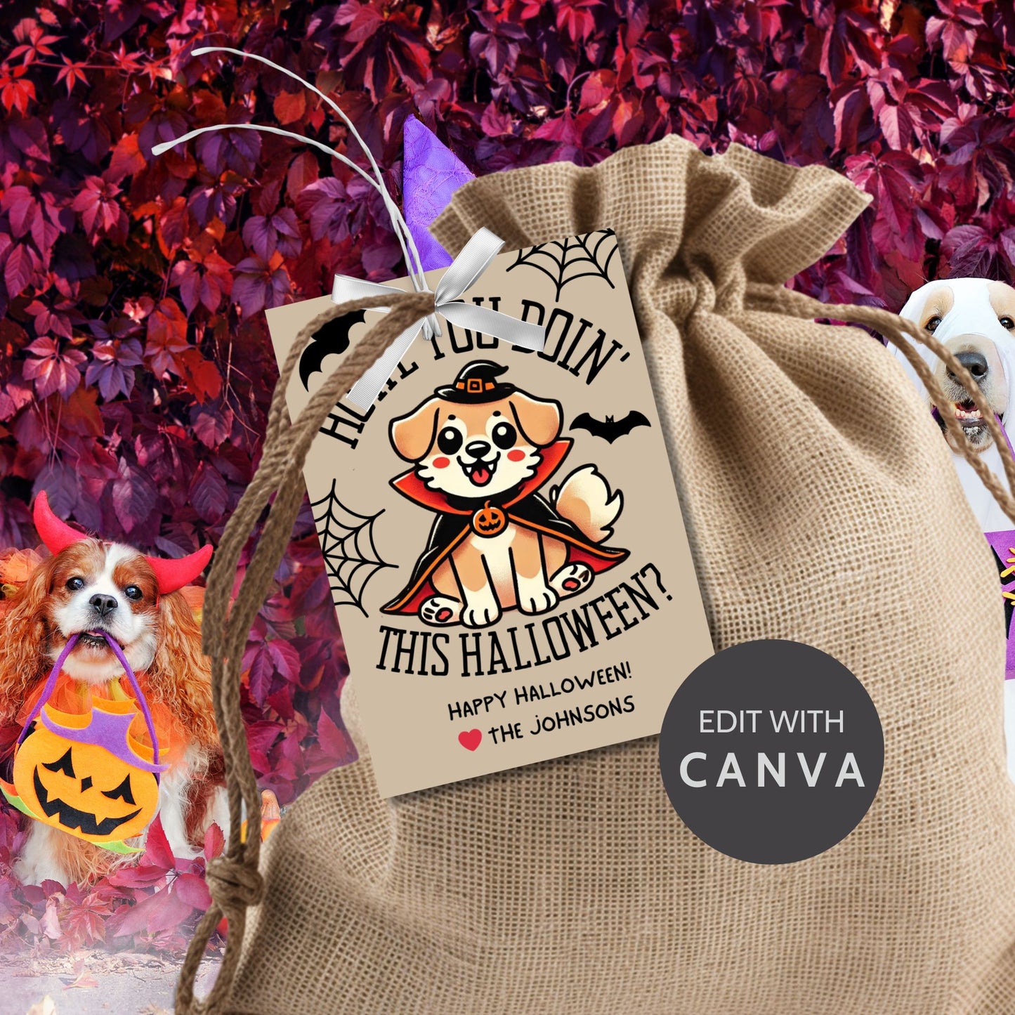 Halloween-themed printable gift tags featuring a cute dog in a costume with the message "Howl You Doin' This Halloween?" Tags are 2.5 x 3.5 inches, laid out 8 per sheet on an 8.5 x 11-inch page. Includes a printable PDF and a PDF with a link to an editable Canva template.