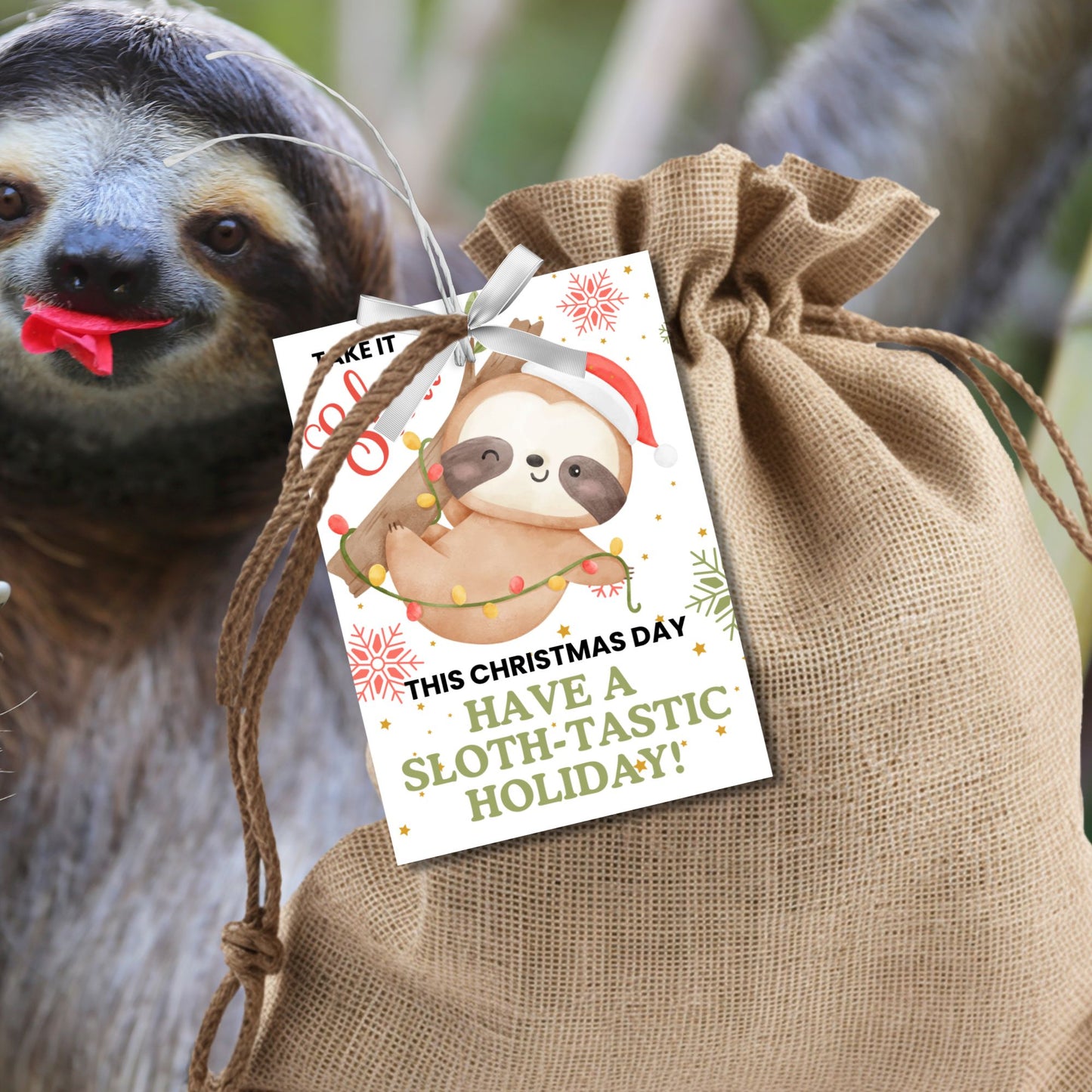 Sloth-themed Christmas gift tags featuring a watercolor sloth in a Santa hat, wrapped in festive holiday lights, with the message 'Take it Slow this Christmas Day. Have a Sloth-Tastic Holiday!' Perfect for adding a cozy and fun touch to holiday presents.