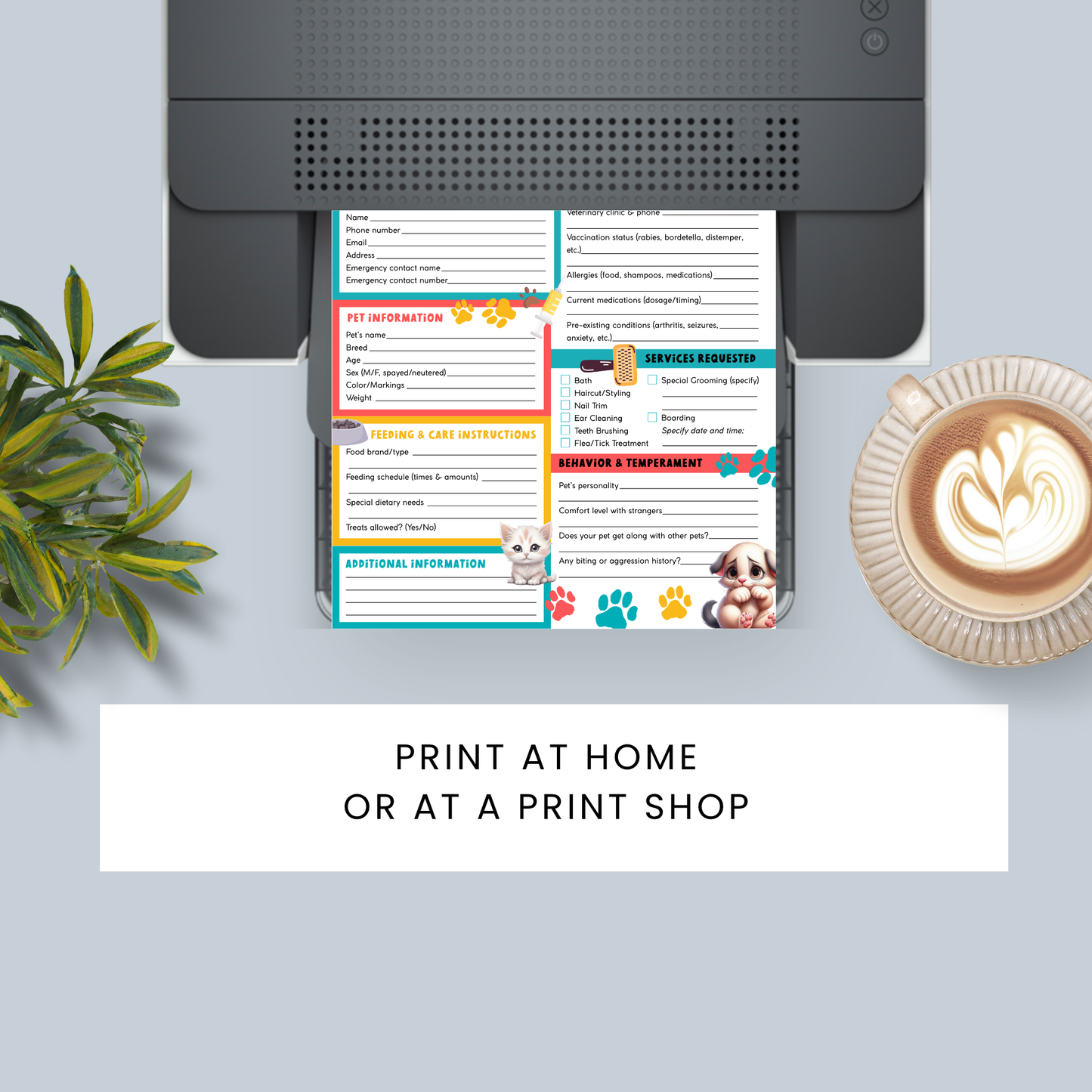 Printable Bold and Bright Pet Grooming & Boarding Intake & Consent Form – colorful 8.5x11 PDF form for pet groomers, boarding, and pet spas.