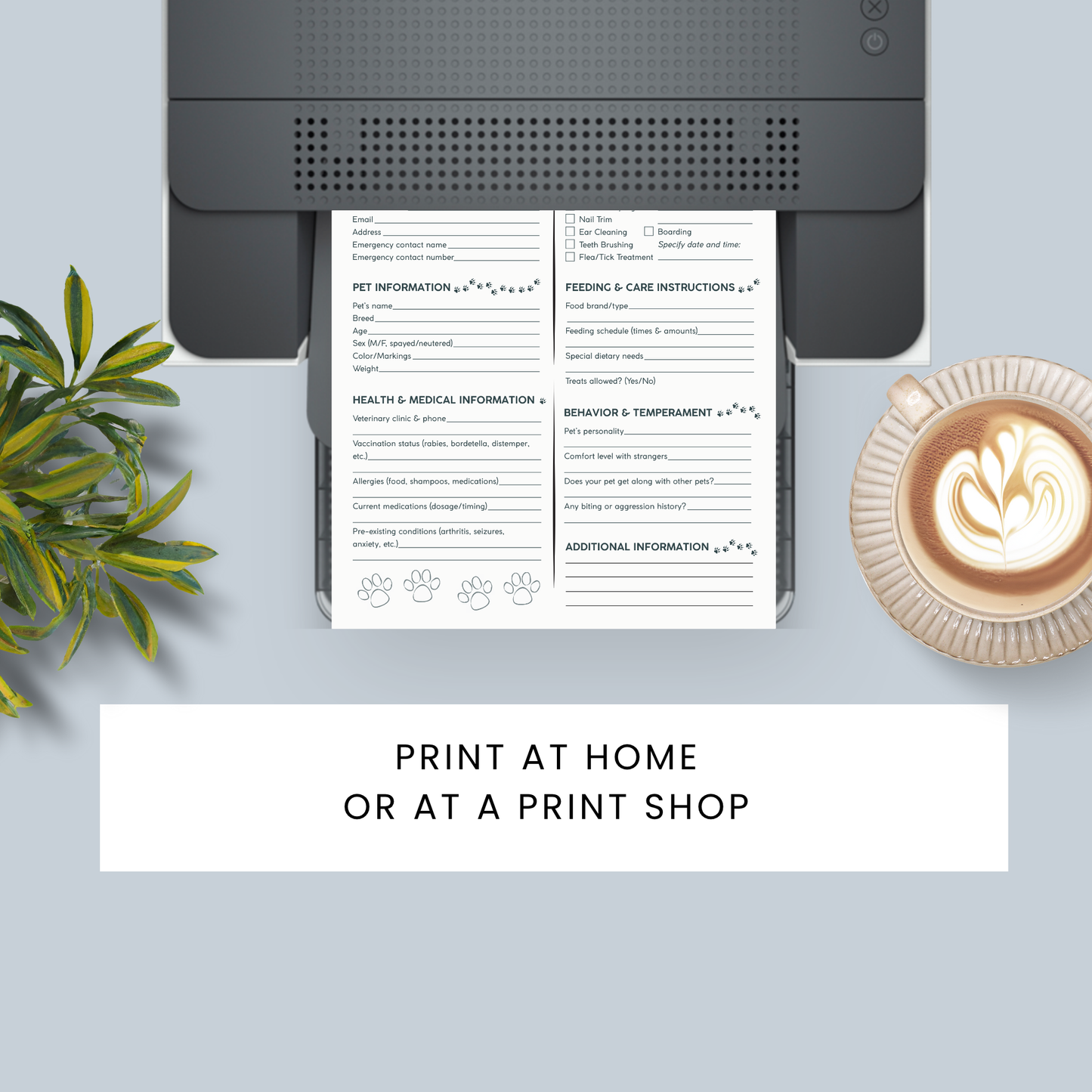 Printer with a document on a desk next to a plant and coffee, with text 'Print at home or at a print shop'.