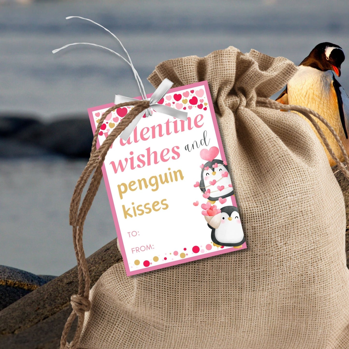 Kids Valentines Penguin Gift Tag | Penguin Valentine Cards | Instant Download | Classroom Friend Coworker Cute Animal Valentines Day Cards