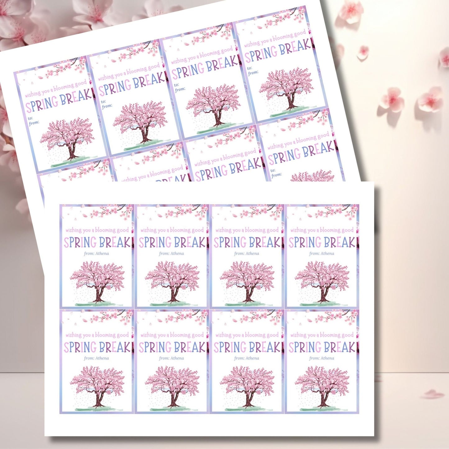 Teacher Gift Tag | Schools Out | Spring Break | Student Gift Ideas | No School | Field Trip Sticker | Spring Blossoms Tag | Spring Bloom