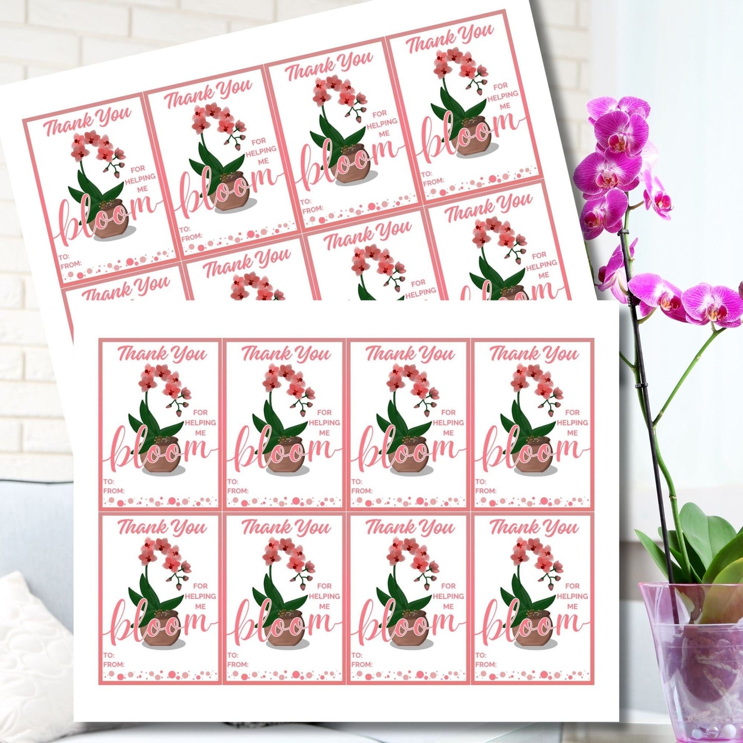Instant Download | Teacher Gift Tag | Flowers Gift Tags | Plant Tags | Thanks For Helping Me Bloom | Teacher Appreciation Gift Tag Orchid