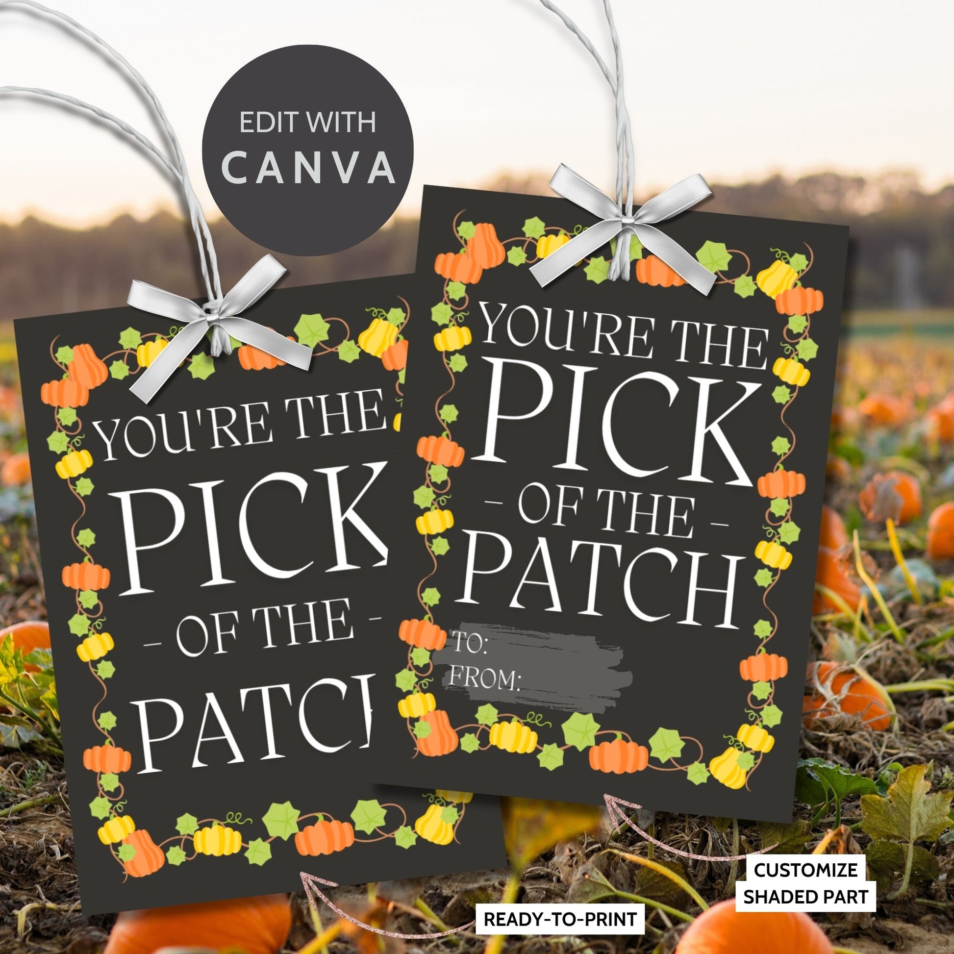 Editable Pumpkin Patch-themed fall gift tags in 2.5 x 3.5 inches, 8 per sheet, available as printable and customizable PDFs