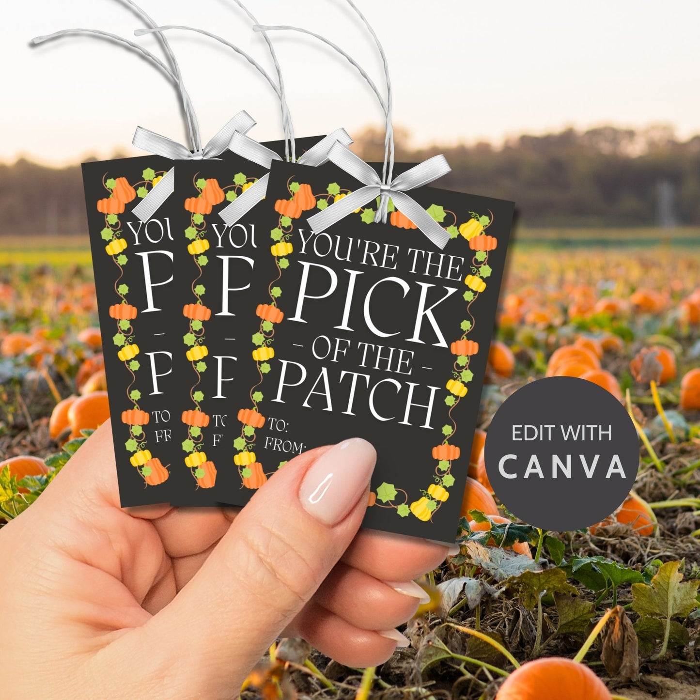 Editable Pumpkin Patch-themed fall gift tags in 2.5 x 3.5 inches, 8 per sheet, available as printable and customizable PDFs