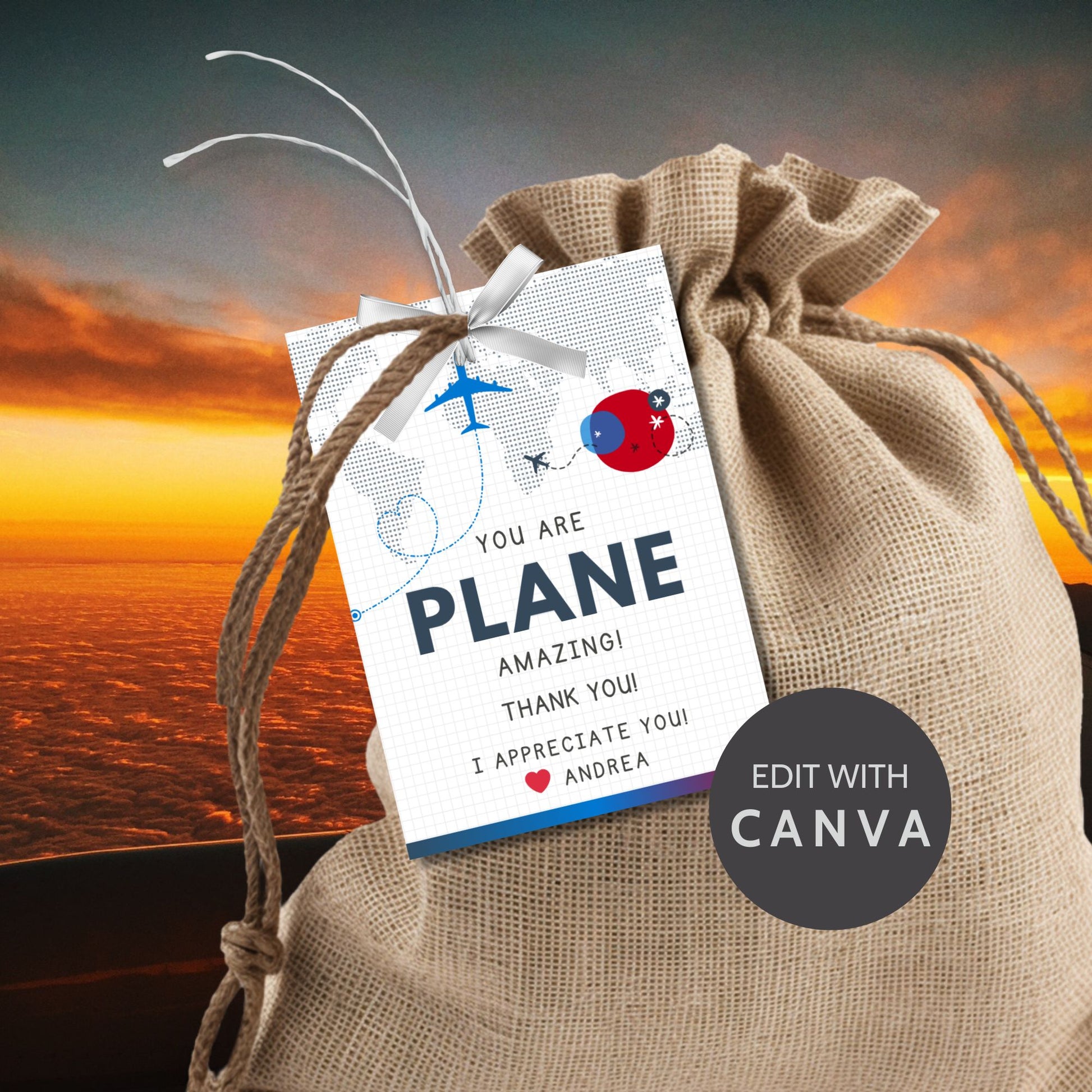Printable aviation thank you gift tags in red, white, and blue colors with airplane design, ideal for flight crew appreciation gifts.
