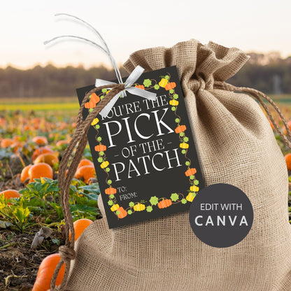 Editable Pumpkin Patch-themed fall gift tags in 2.5 x 3.5 inches, 8 per sheet, available as printable and customizable PDFs