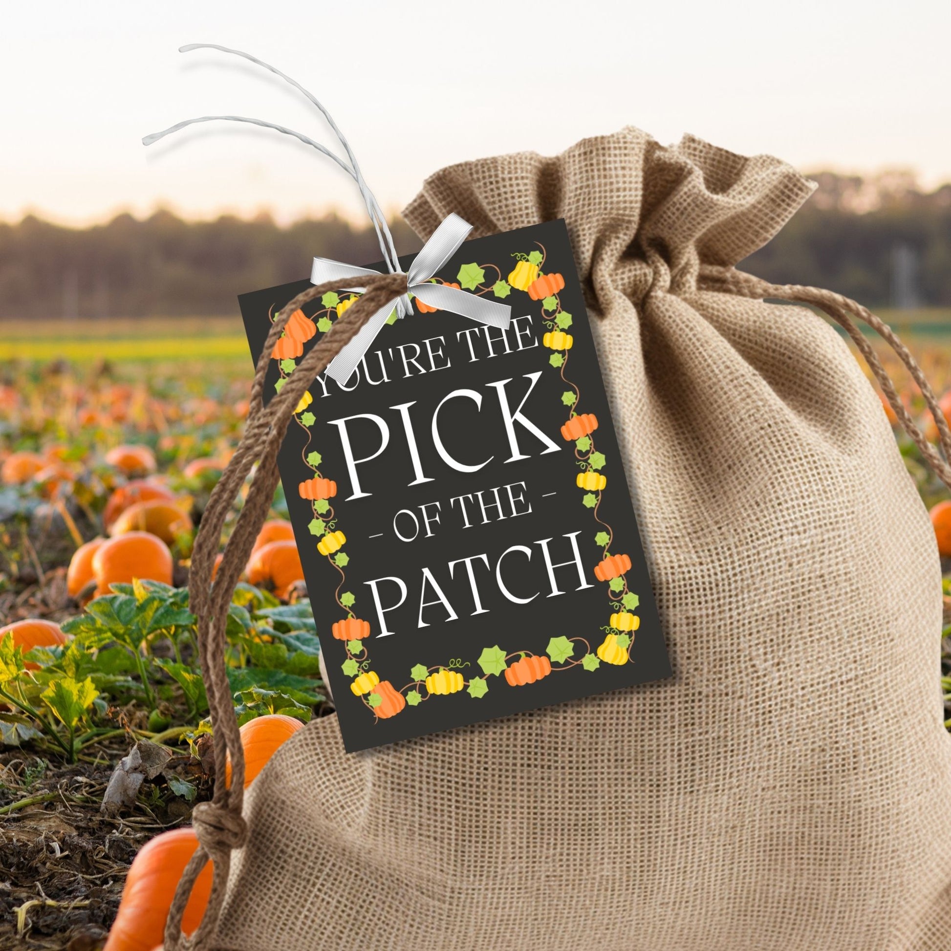 Editable Pumpkin Patch-themed fall gift tags in 2.5 x 3.5 inches, 8 per sheet, available as printable and customizable PDFs