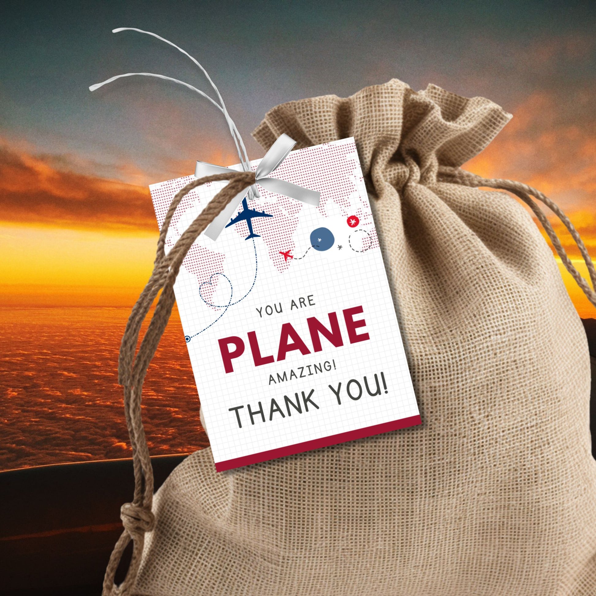 Printable and editable aviation-themed thank you gift tags with airplane illustration in red, navy, and sky tones, designed for flight crew appreciation gifts.