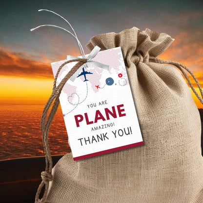 Printable and editable aviation-themed thank you gift tags with airplane illustration in red, navy, and sky tones, designed for flight crew appreciation gifts.