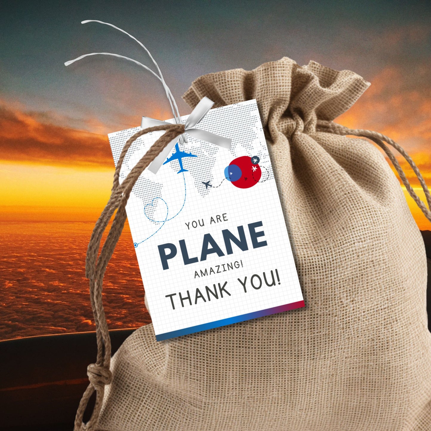 Printable aviation thank you gift tags in red, white, and blue colors with airplane design, ideal for flight crew appreciation gifts.