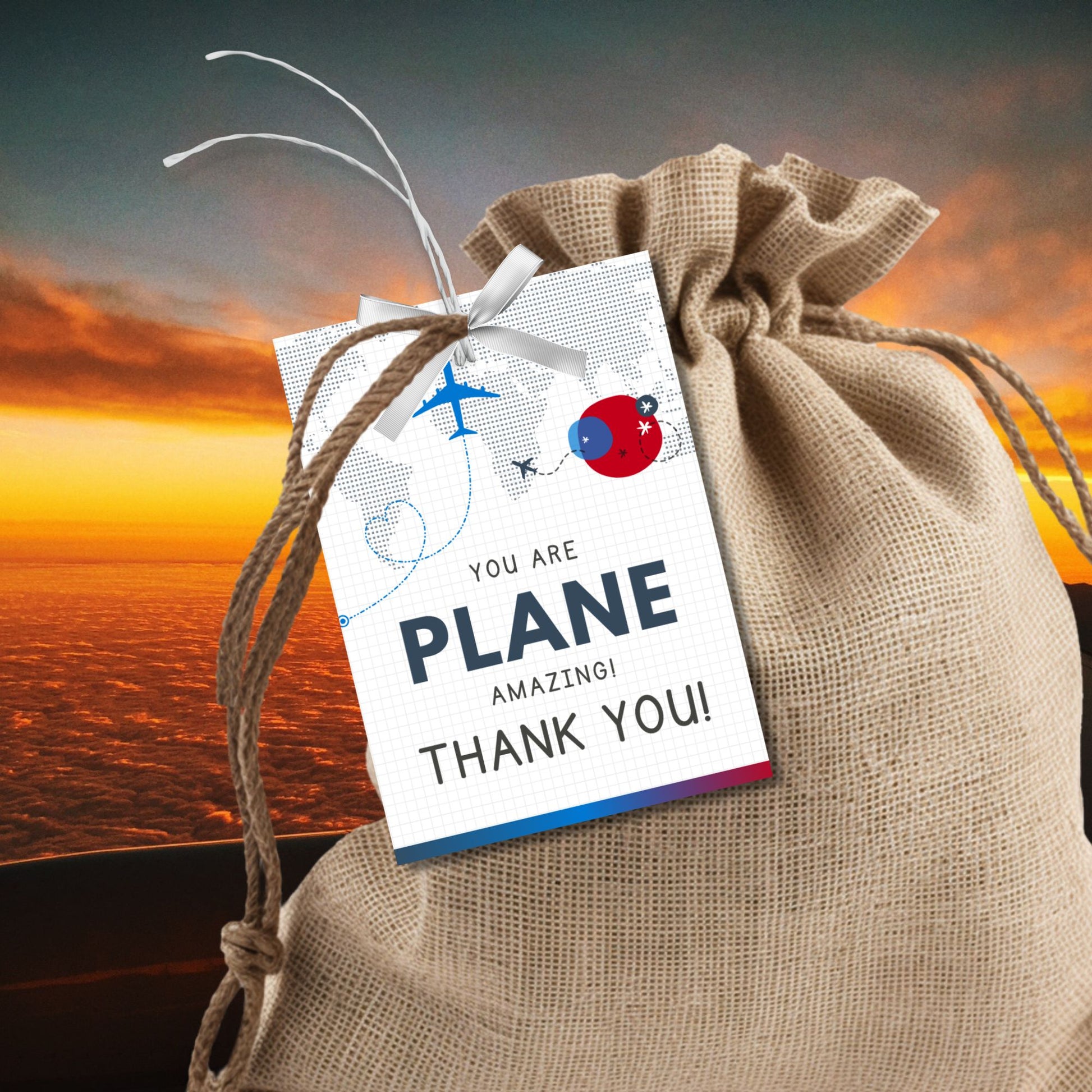 Printable aviation thank you gift tags in red, white, and blue colors with airplane design, ideal for flight crew appreciation gifts.