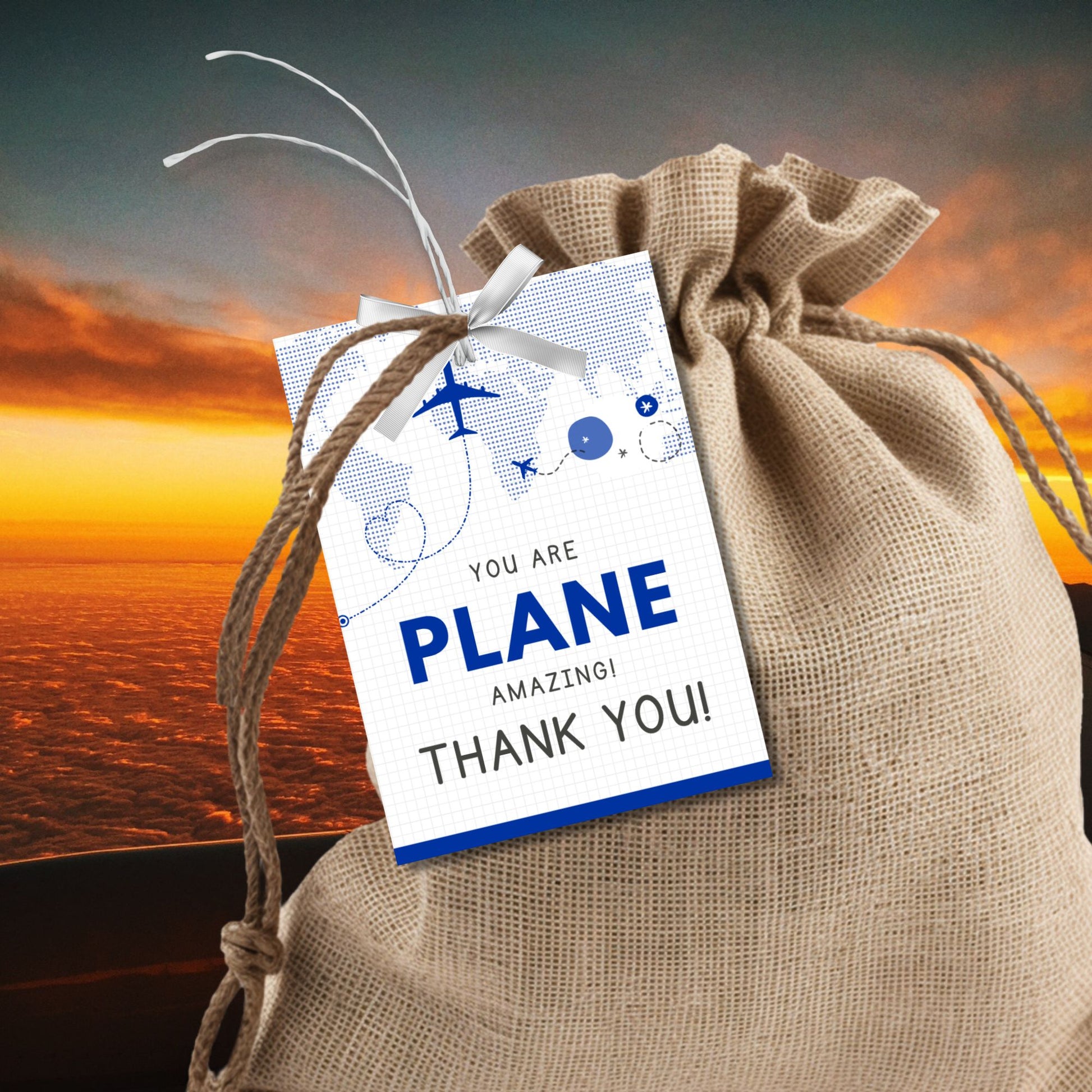 Printable aviation thank you gift tags in classic blue and white with airplane design, ideal for flight crew appreciation gifts.