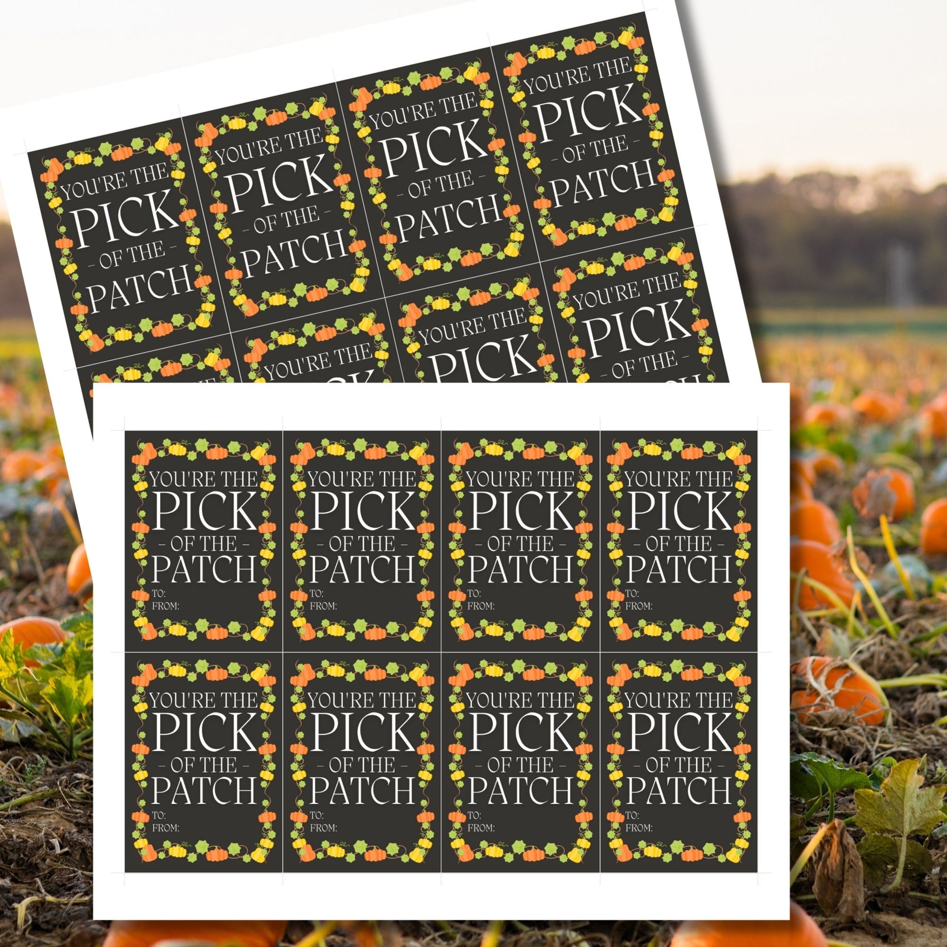 Editable Pumpkin Patch-themed fall gift tags in 2.5 x 3.5 inches, 8 per sheet, available as printable and customizable PDFs