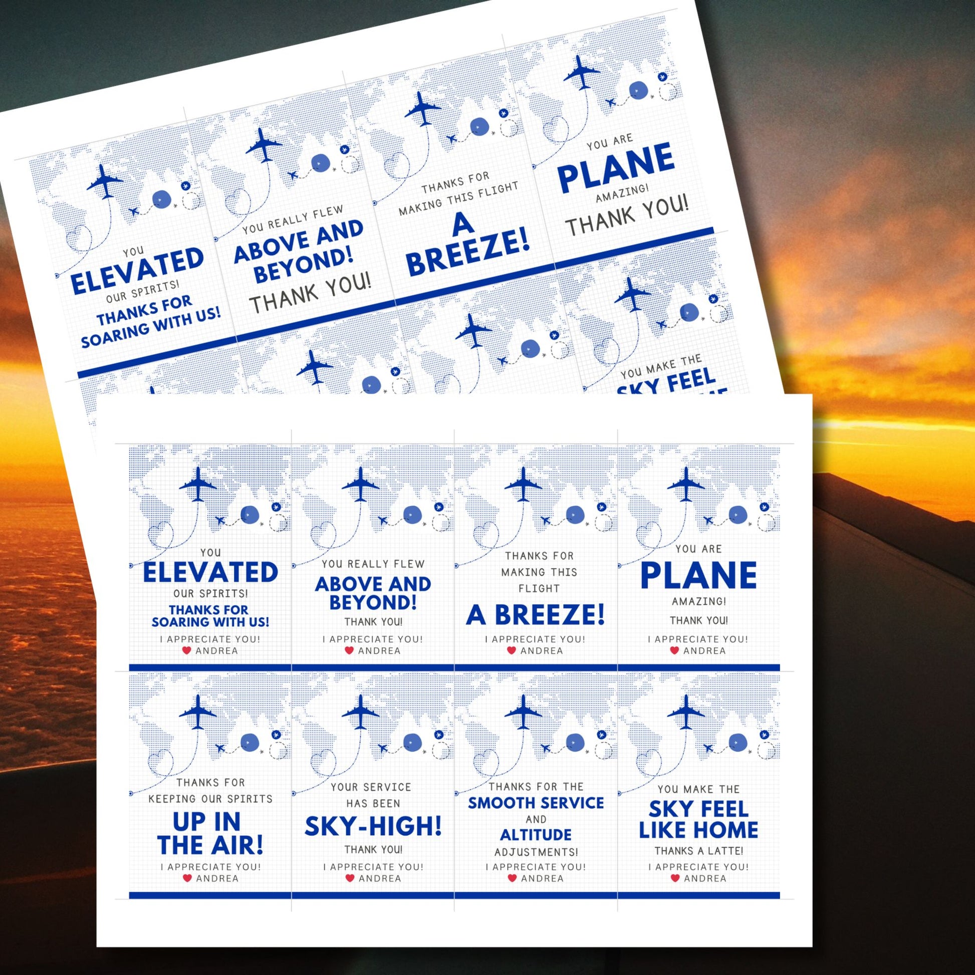 Printable aviation thank you gift tags in classic blue and white with airplane design, ideal for flight crew appreciation gifts.