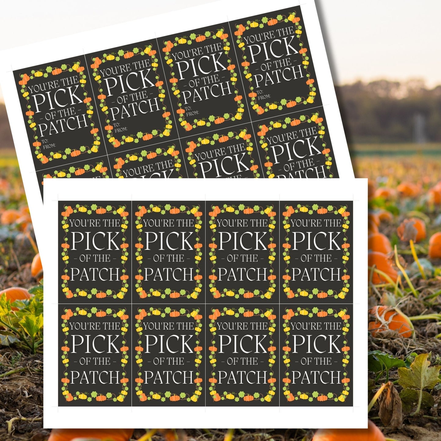 Editable Pumpkin Patch-themed fall gift tags in 2.5 x 3.5 inches, 8 per sheet, available as printable and customizable PDFs