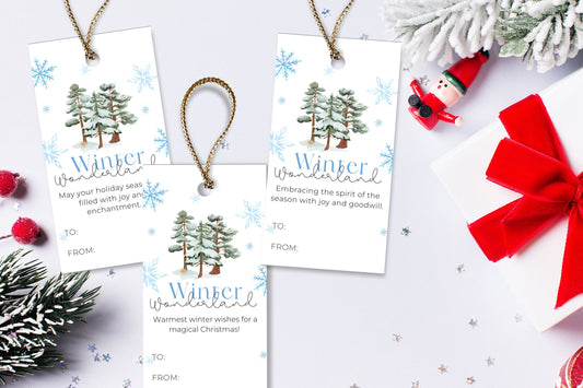 Winter Wonderland | Winter Favors Tag | Printable Tag | Instant Download | Christmas Gift Tag | Winter Gift Tags | Snowflake Favor Tag