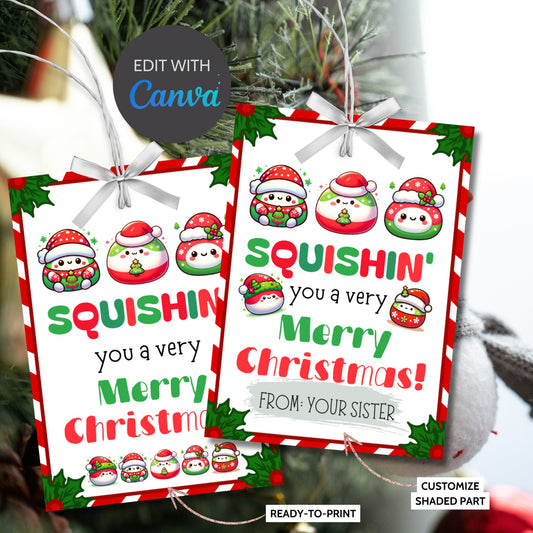 Squishin You a very Merry Christmas, Squishy Toy tag, Christmas Gift Tag, Holiday Printable, Kids Squishies, Custom Squishmallow, Squishy