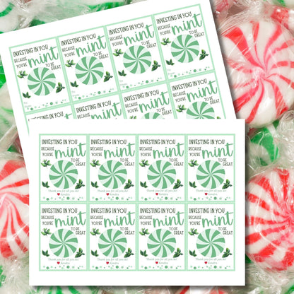 Mint Candy Employee Appreciation Gift | Investor Teacher Bus Driver Friend Coworker Staff Office Team Lender Broker Realtor Thank You