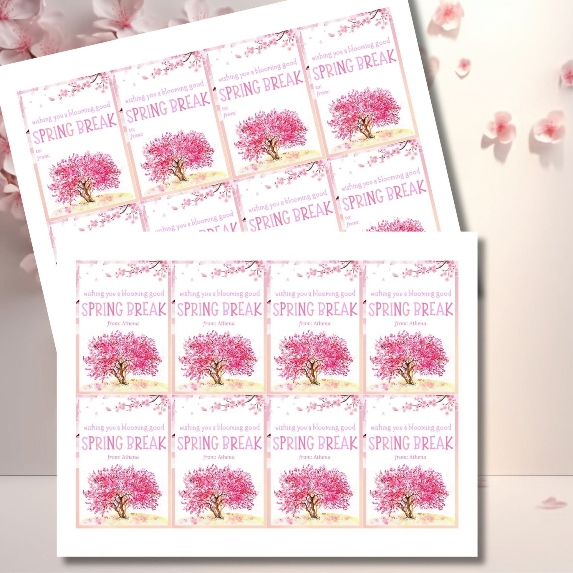 Teacher Gift Tag | Schools Out | Spring Break | Student Gift Ideas | No School | Field Trip Sticker | Spring Blossoms Tag | Spring Bloom