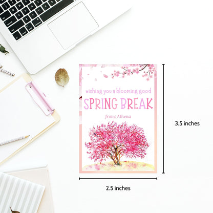 Teacher Gift Tag | Schools Out | Spring Break | Student Gift Ideas | No School | Field Trip Sticker | Spring Blossoms Tag | Spring Bloom