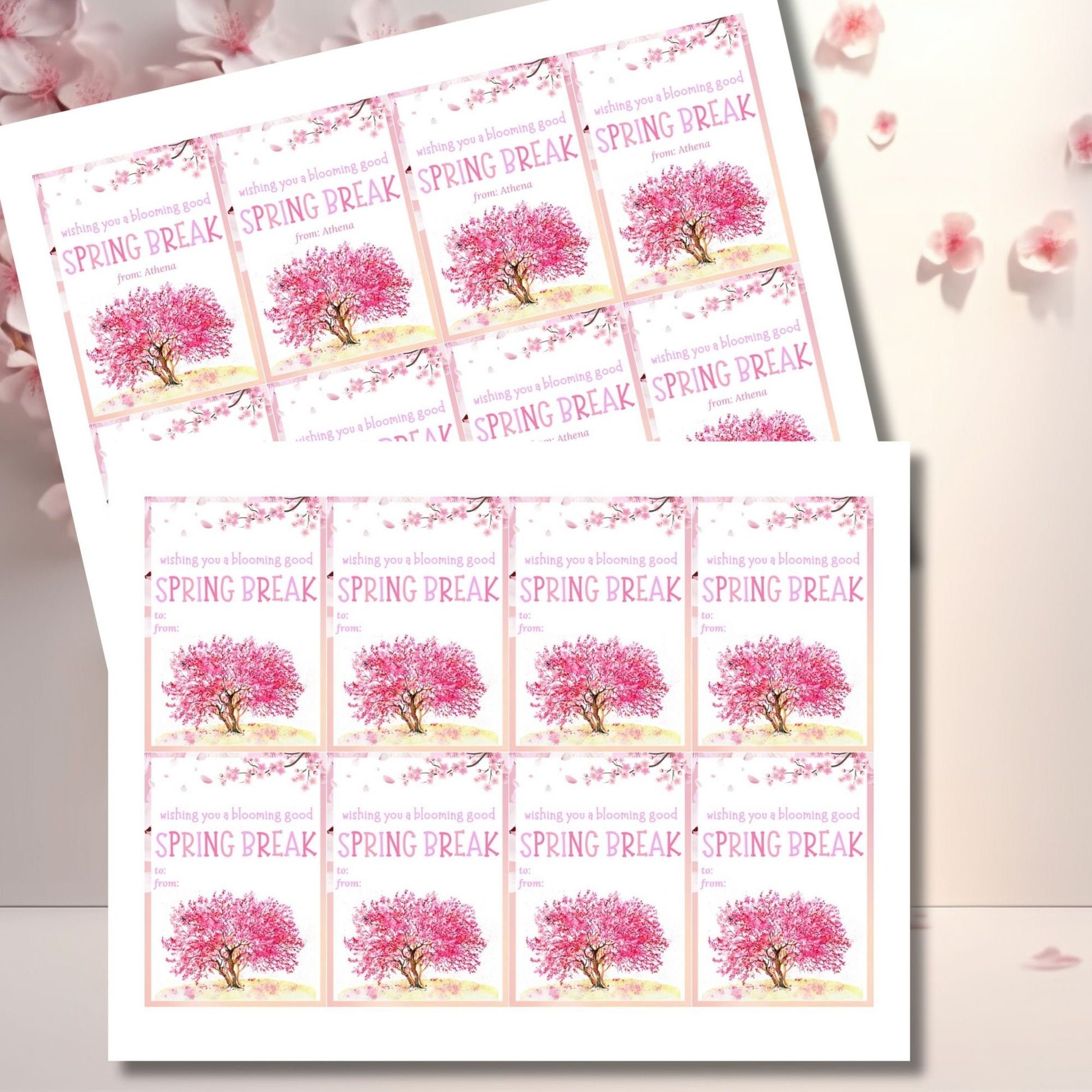 Teacher Gift Tag | Schools Out | Spring Break | Student Gift Ideas | No School | Field Trip Sticker | Spring Blossoms Tag | Spring Bloom