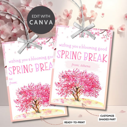 Teacher Gift Tag | Schools Out | Spring Break | Student Gift Ideas | No School | Field Trip Sticker | Spring Blossoms Tag | Spring Bloom