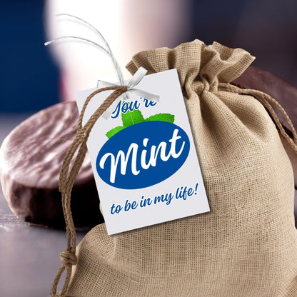 Refreshing Youre Mint to be in my life gift tags, perfect for adding a personal touch to gifts, with space for names, in crisp green hues.